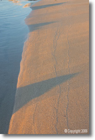 Sunrise Shore